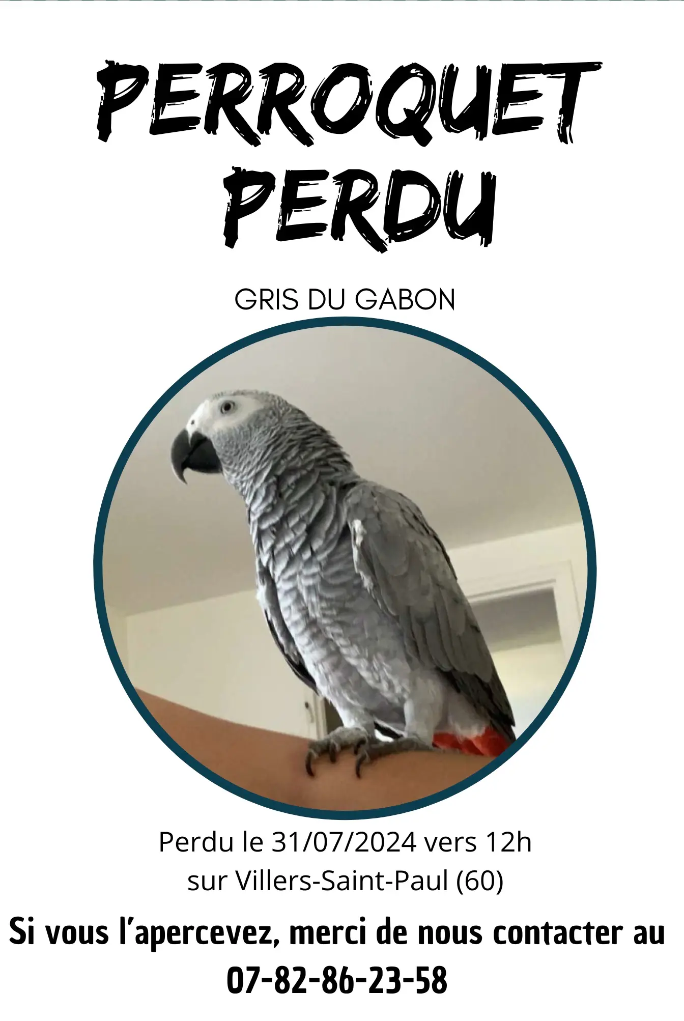 animal lost 2 Ruelle Rondy 60870 Villers-Saint-Paul Coco 