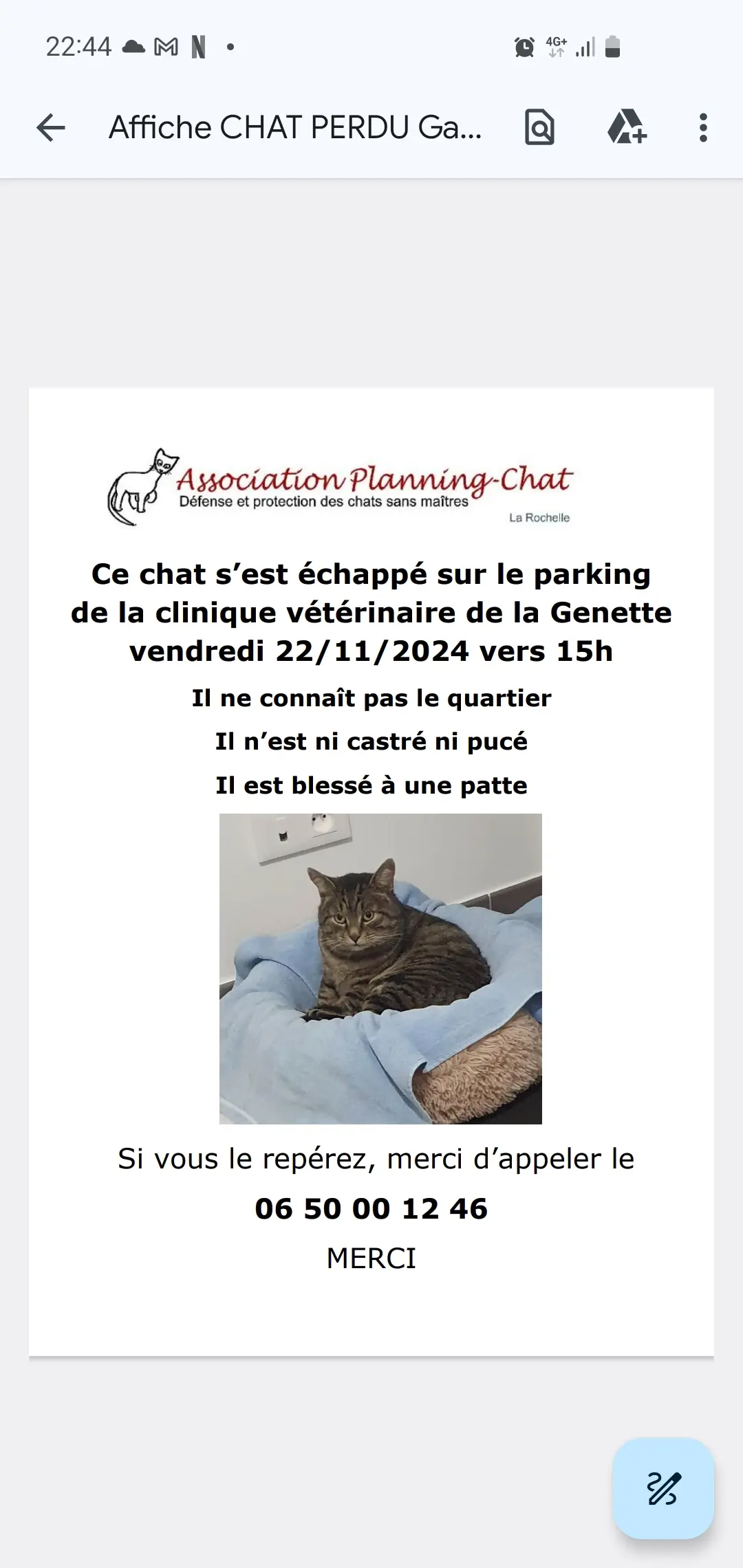 Chat Perdu 17 Charente-Maritime