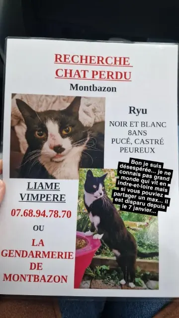 chat lost   37250 Montbazon Ryu