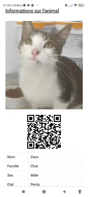 chat lost   42650 Saint-Jean-Bonnefonds Zeus