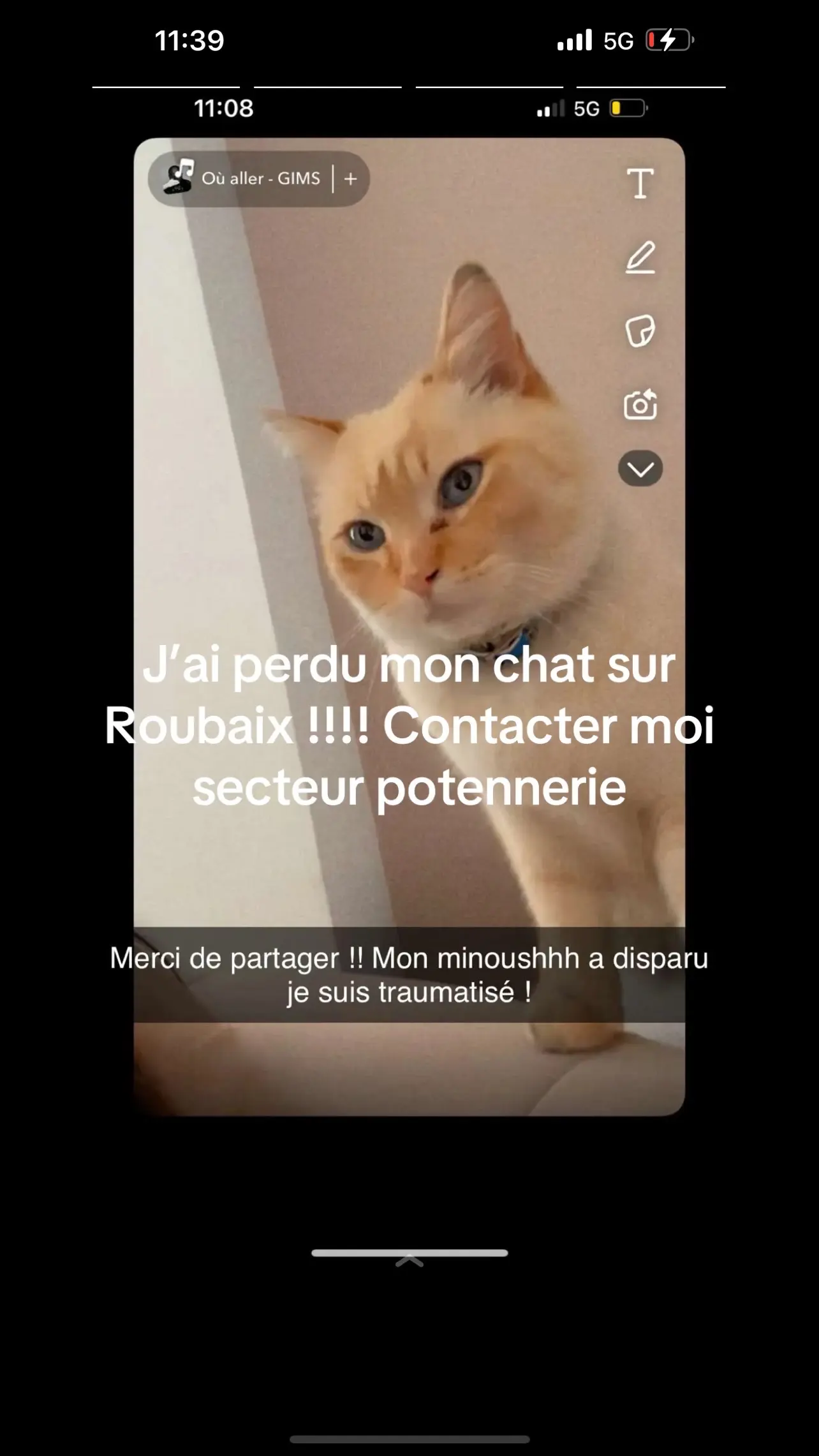 Chat Perdu 59 Nord - Snoop