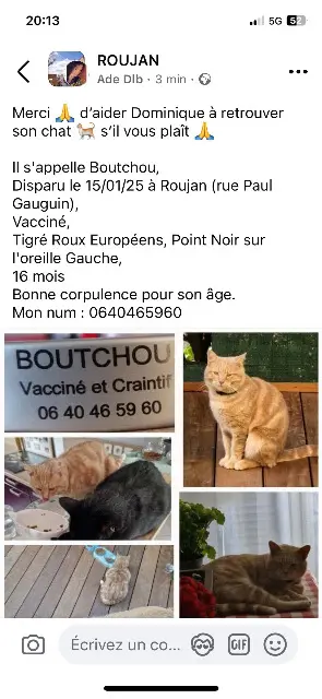 chat reunited   34320 Roujan Boutchou