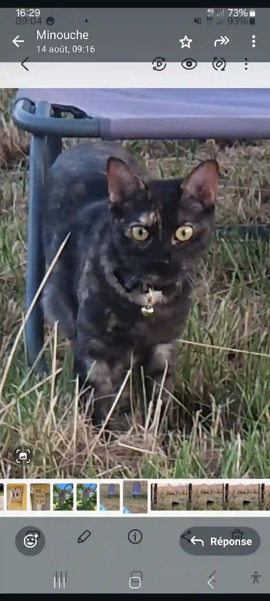 Chatte Perdue 07 Ardèche - Uguette