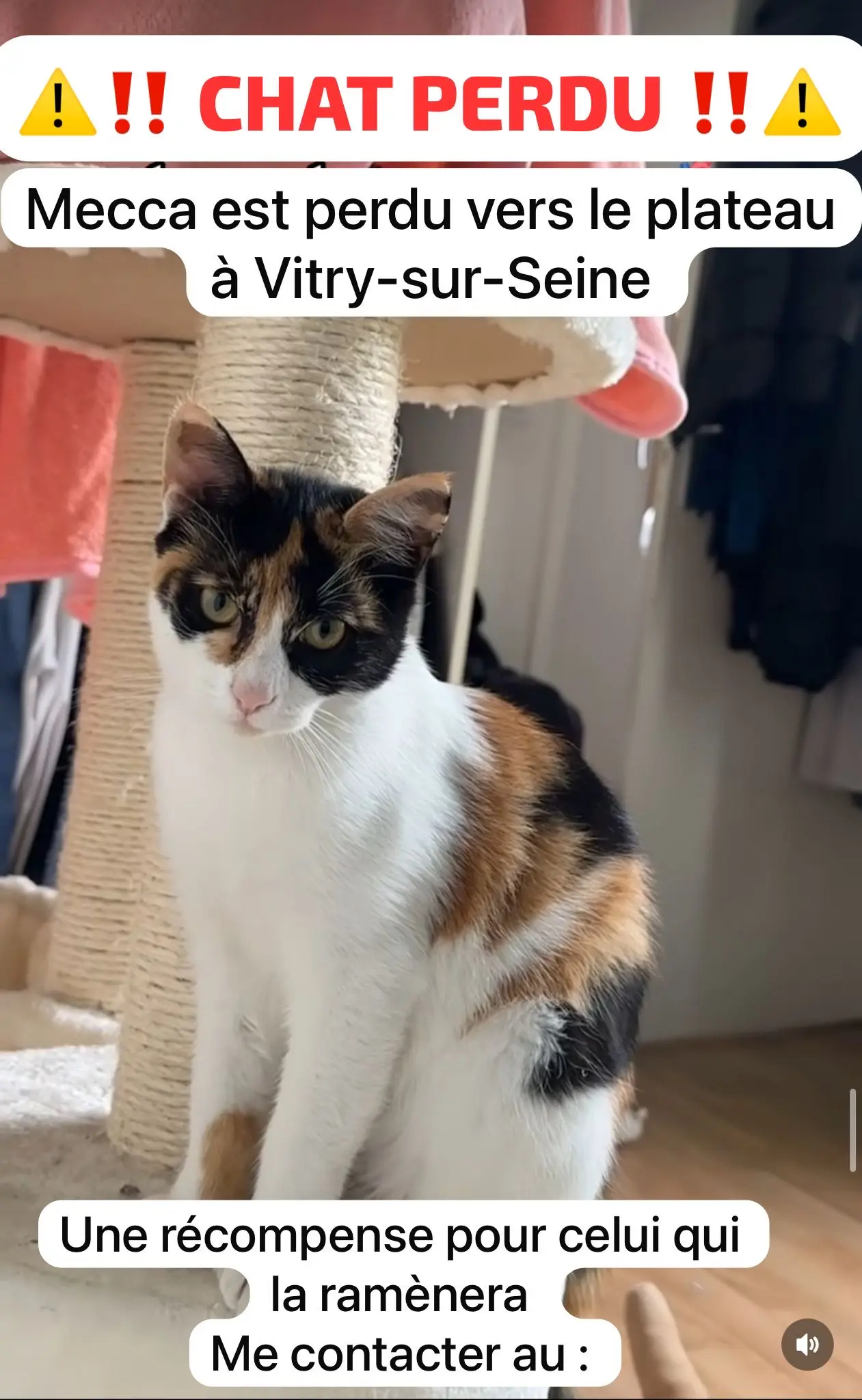 Chatte Perdue 94 Val-de-Marne - Mecca