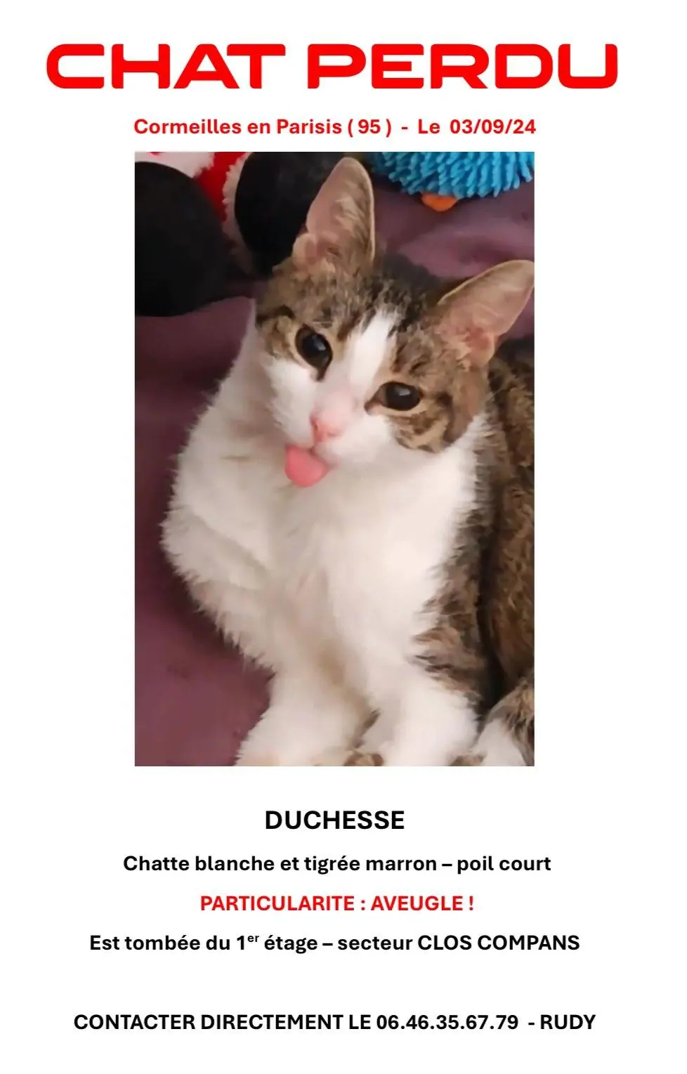 Chatte Perdue 95 Val-d'Oise