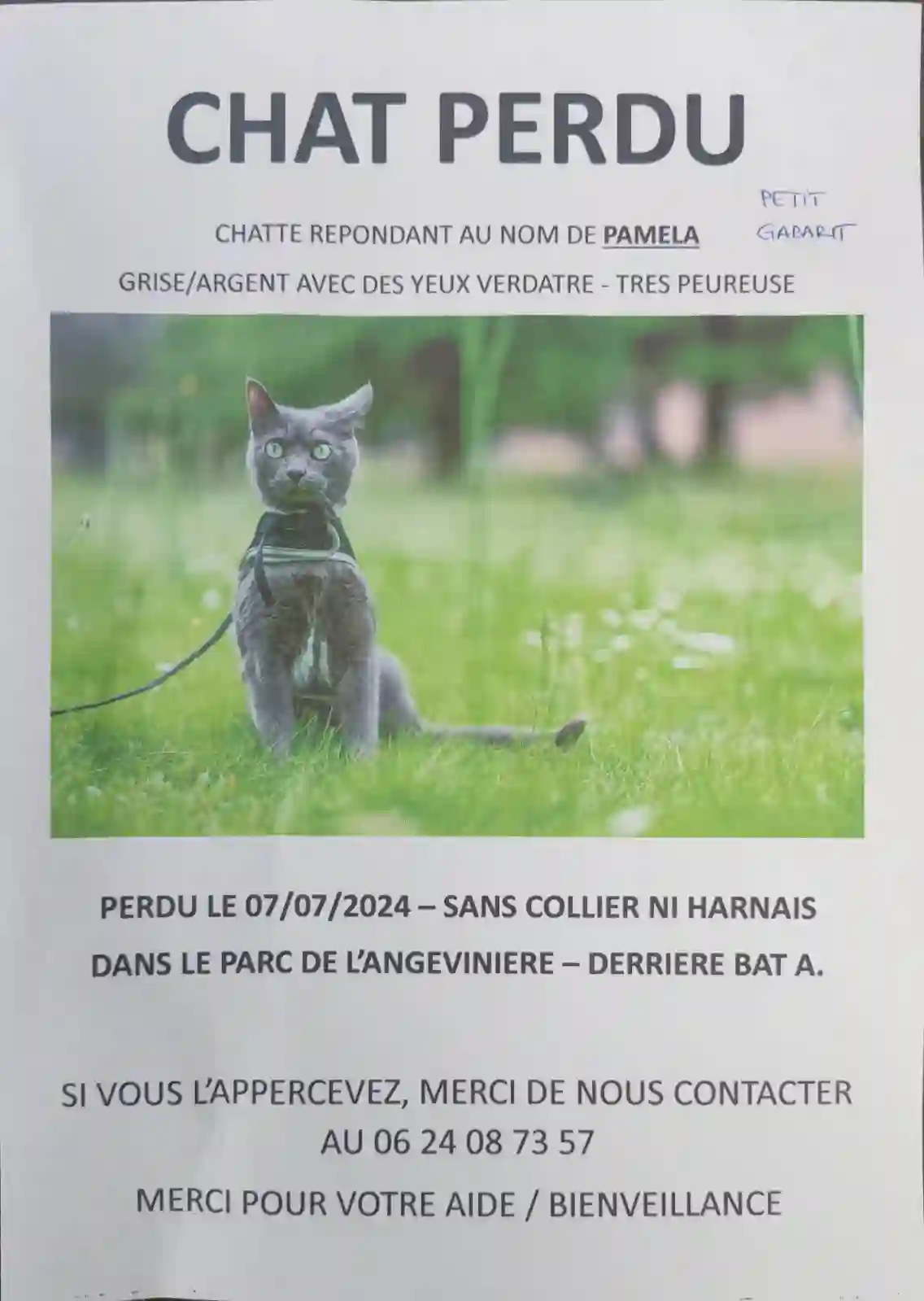 Chatte Trouvée 44 Loire-Atlantique - Pamela