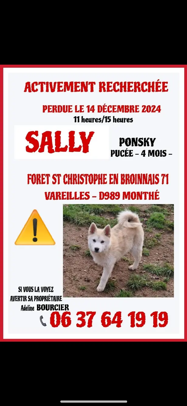 Chienne Perdue - Sally